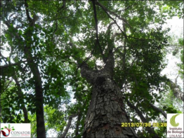 56386_S1_ARC_20130730_038_001.jpg.jpg