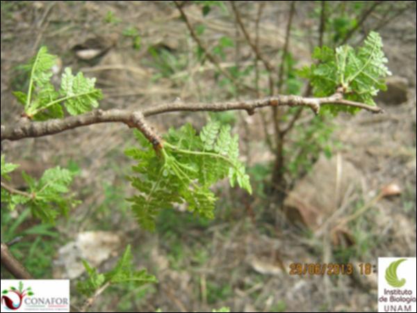 51493_S1_HJ2_20130629_004.jpg.jpg