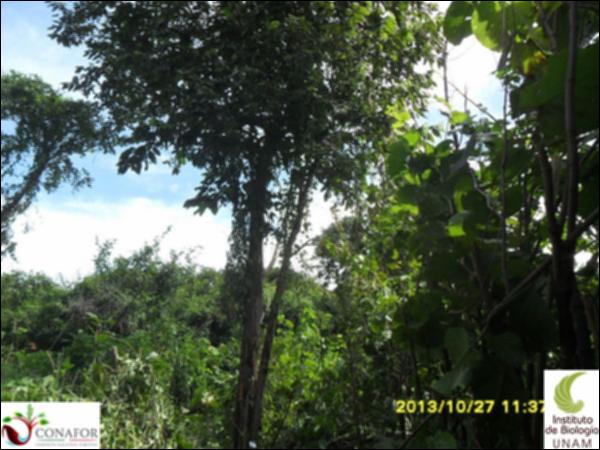 56894_S3_ARC_20131027_031_001.jpg.jpg
