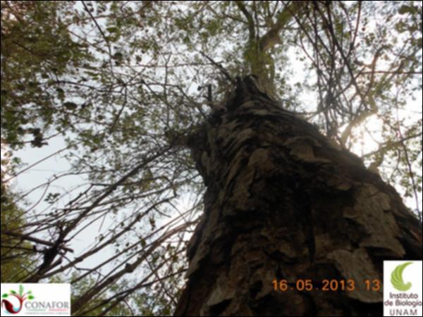 50947_S2_ARC_20130516_009_001.jpg.jpg