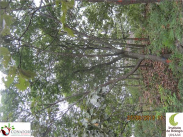 50329_S1_ARC_20130927_004.jpg.jpg