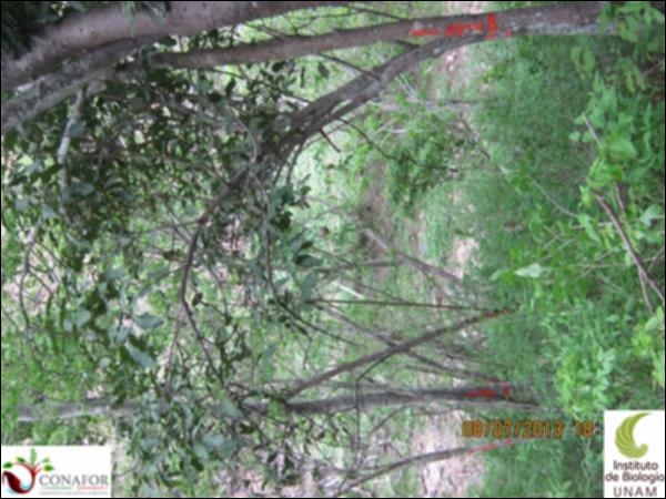 66904_S2_ARC_20130708_012.jpg.jpg