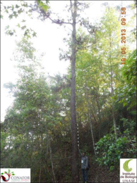 72714_S1_ARC_20130519_029_001.jpg.jpg