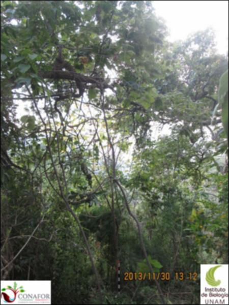 62011_S1_ARC_20131130_002.jpg.jpg