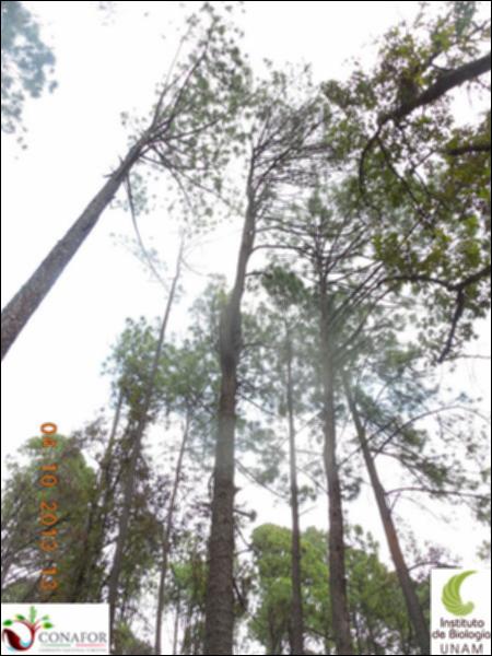 62597_S2_ARC_20131004_002_002.jpg.jpg