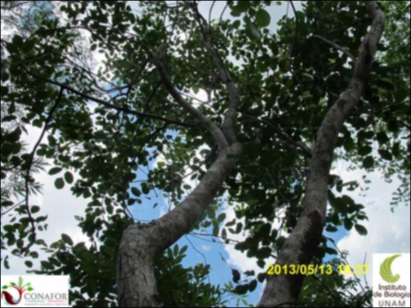 62750_S1_ARC_20130513_005_001.jpg.jpg