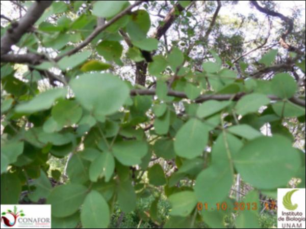 66964_S4_HJ2_20131001_002_001.jpg.jpg
