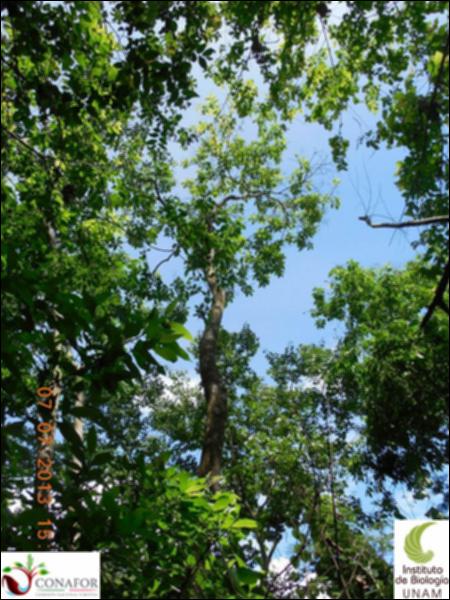 75134_S1_ARC_20130706_018_002.jpg.jpg