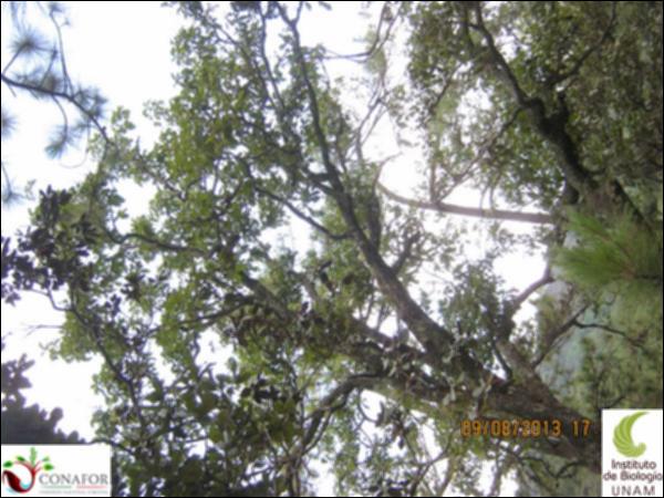 54983_S1_ARC_20130809_003.jpg.jpg