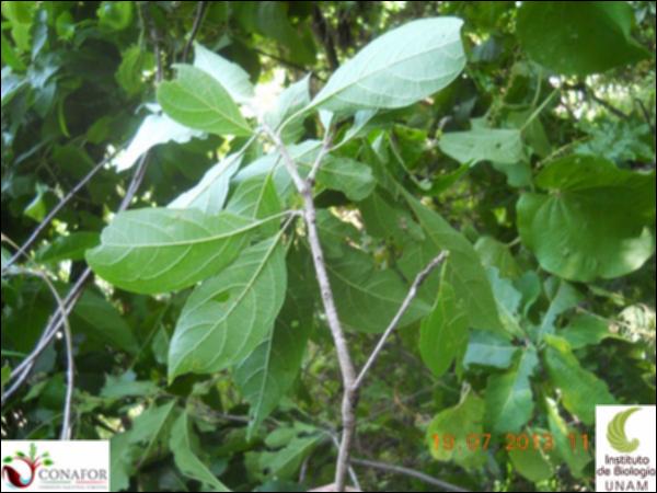 76066_S1_HJ2_20130718_007_001.jpg.jpg