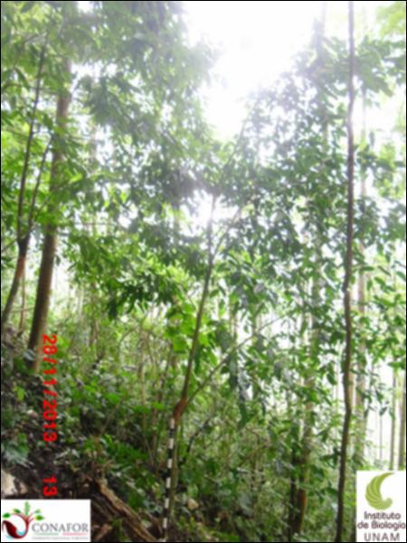 56594_S3_ARC_20131127_023_001.jpg.jpg