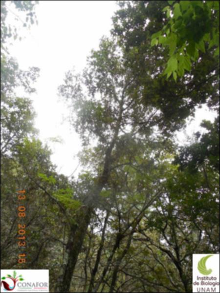 72664_S2_ARC_20130813_017_002.jpg.jpg