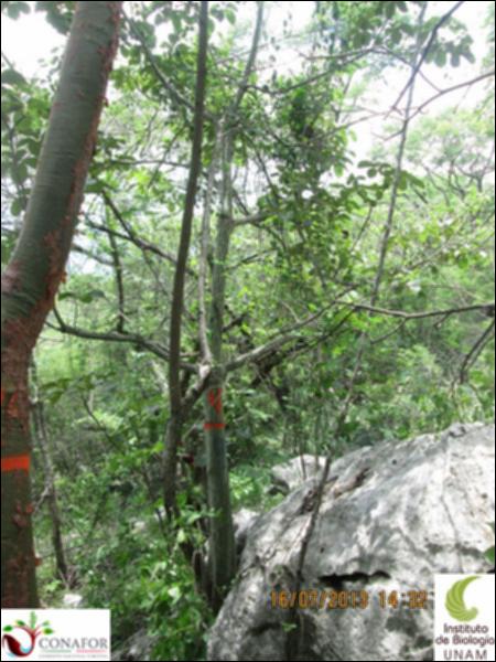 44264_S1_ARC_20130716_002.jpg.jpg