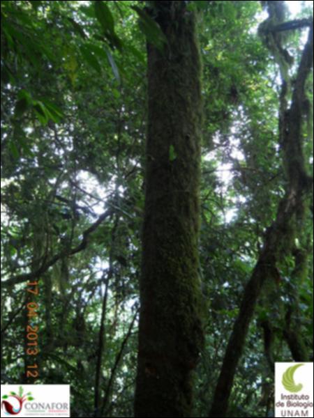 54882_S1_ARC_20130416_001_001.jpg.jpg