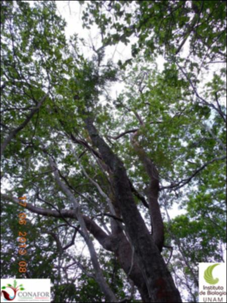 76869_S1_ARC_20130616_015_002.jpg.jpg
