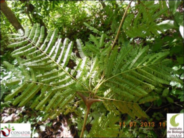 75336_S3_HJ2_20130711_001_001.jpg.jpg