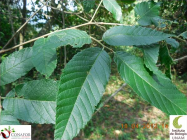 58873_S2_HJ1_20130418_007_001.jpg.jpg
