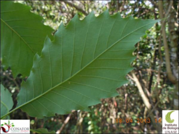 58873_EX_HJ2_20130418_999-_001.jpg.jpg