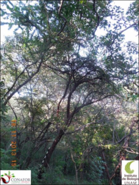 65189_S4_ARC_20131118_016_001.jpg.jpg