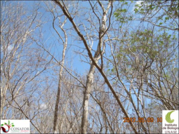 73603_S4_ARC_20130506_010_001.jpg.jpg
