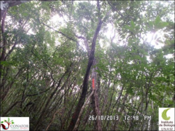 51675_S1_ARC_20131026_010_001.jpg.jpg