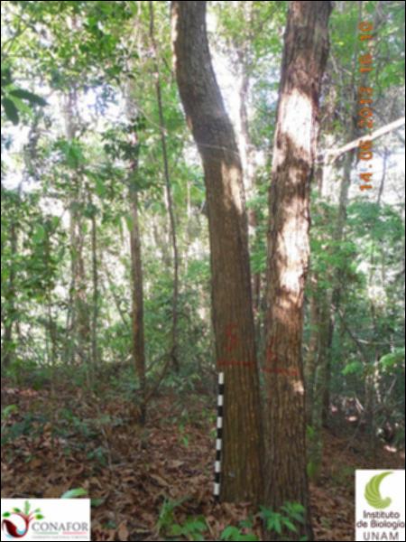 71872_S2_ARC_20130614_005_001.jpg.jpg