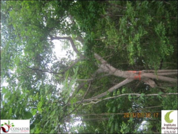 46421_S2_ARC_20130730_010.jpg.jpg