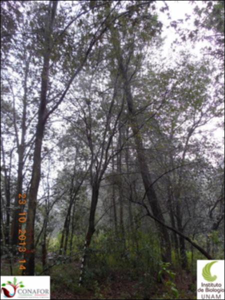 58823_S3_ARC_20131023_021_001.jpg.jpg
