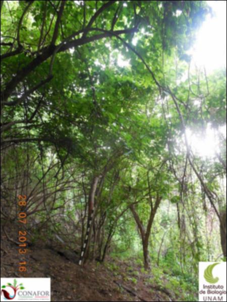 77050_S3_ARC_20130728_014_001.jpg.jpg