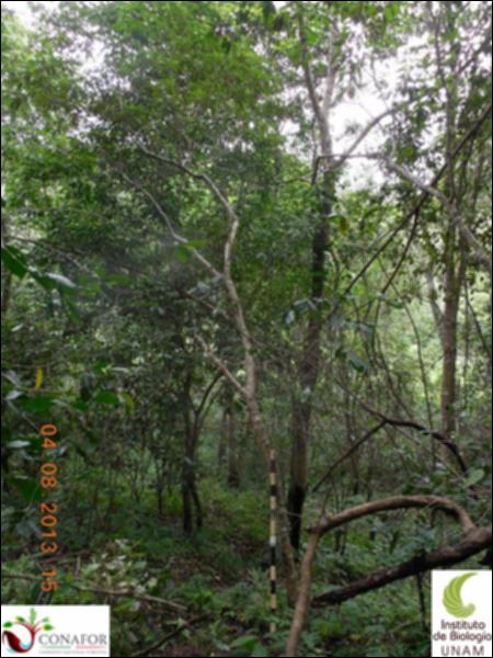 76560_S1_ARC_20130804_032_001.jpg.jpg