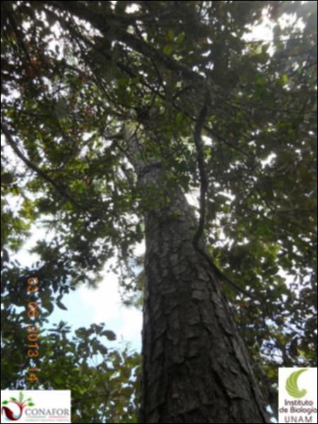 72072_S1_ARC_20130603_010_002.jpg.jpg