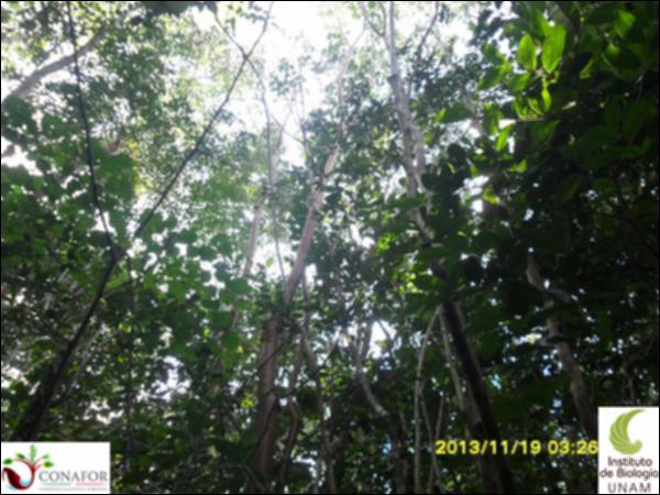 52366_S1_ARC_20131119_037_001.jpg.jpg
