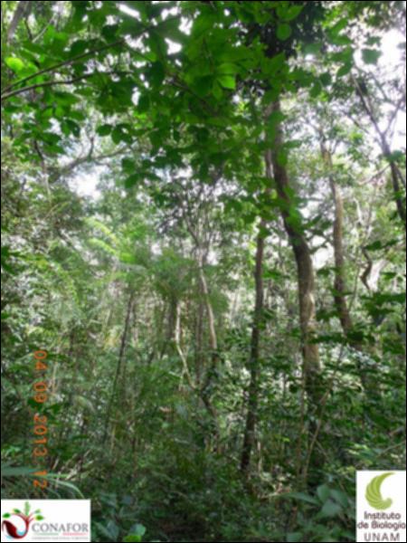 73043_S1_ARC_20130904_009_001.jpg.jpg