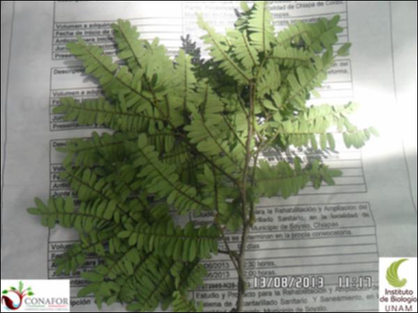 57627_S1_HJ2_20130813_001_001.jpg.jpg