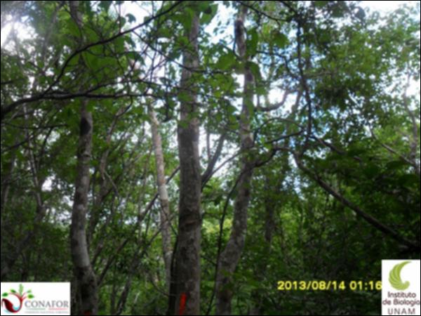 56619_S4_ARC_20130814_026_001.jpg.jpg