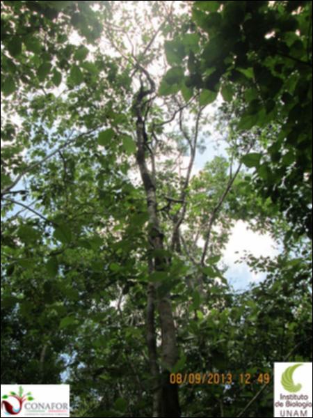47569_S1_ARC_20130809_032_001.jpg.jpg