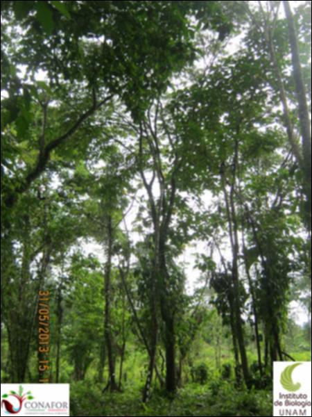 72326_S4_ARC_20130531_009_001.jpg.jpg