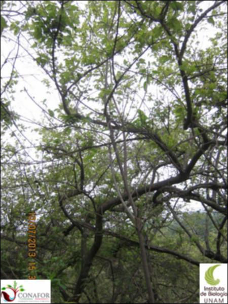 67767_S2_ARC_20130710_009.jpg.jpg