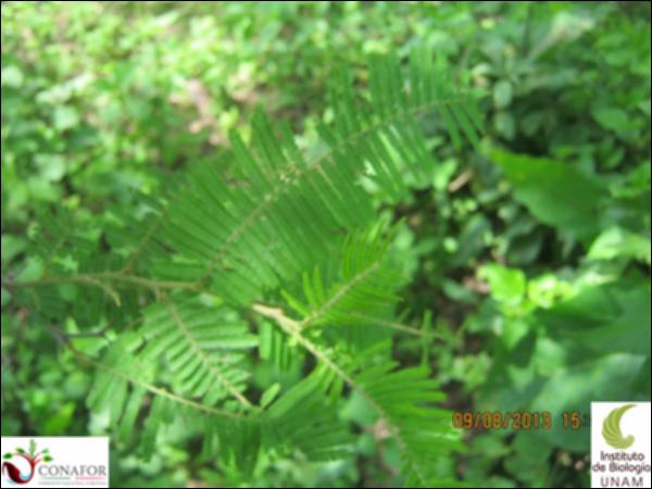 36696_S4_HJ1_20130809_002.jpg.jpg