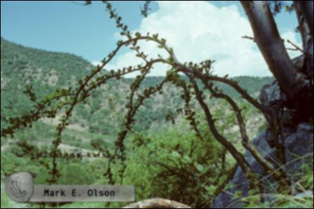 1990.jpg.jpg