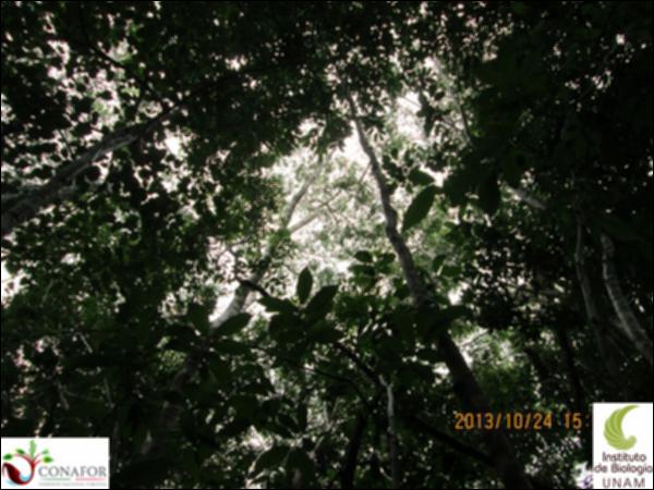 50295_S1_ARC_20131024_033_002.jpg.jpg