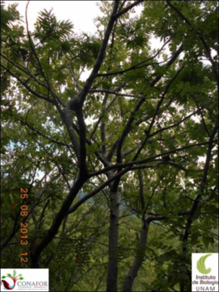 71375_S3_ARC_20130825_002_002.jpg.jpg
