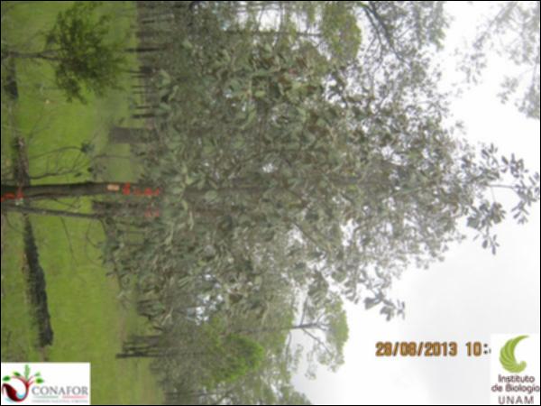 36485_S1_ARC_20130828_003.jpg.jpg
