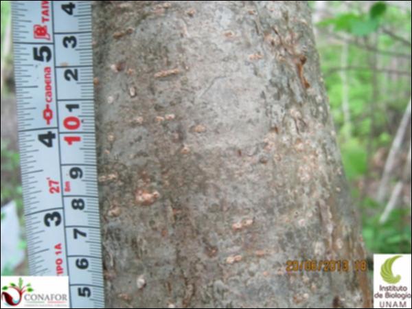 76294_S1_CRT_20130620_017_001.jpg.jpg