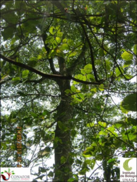 74186_S4_ARC_20130521_004_002.jpg.jpg