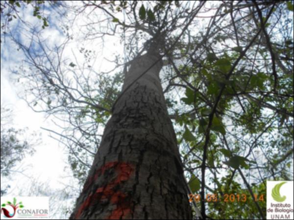 49569_S1_ARC_20130529_003_001.jpg.jpg