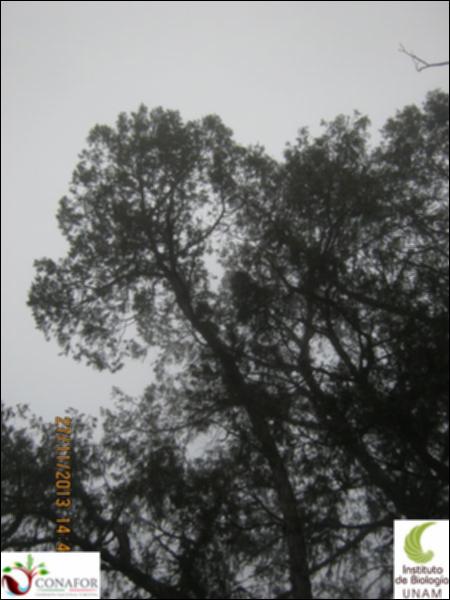 54622_S3_ARC_20131127_001_002.jpg.jpg