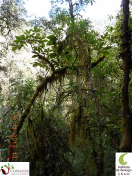 70899_S2_ARC_20131126_016_002.jpg.jpg