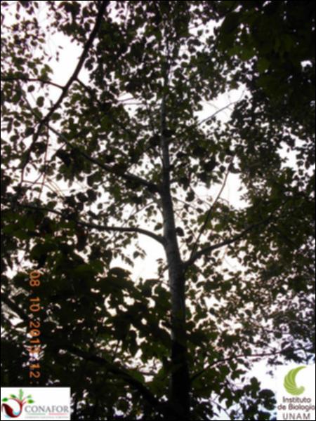 58618_S2_ARC_20131008_001_002.jpg.jpg