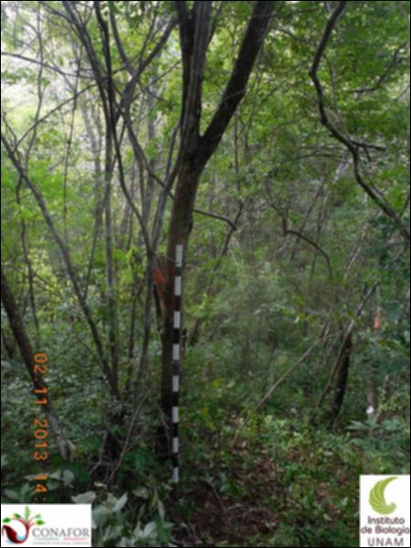 69037_S1_ARC_20131102_003_001.jpg.jpg